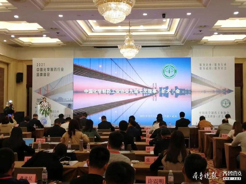 厉害了 新时代药业18个品规获评中国化药行业优秀产品品牌 全网搜