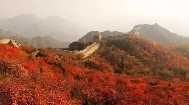 成就|王阳明训子家书,大智慧成就大人生