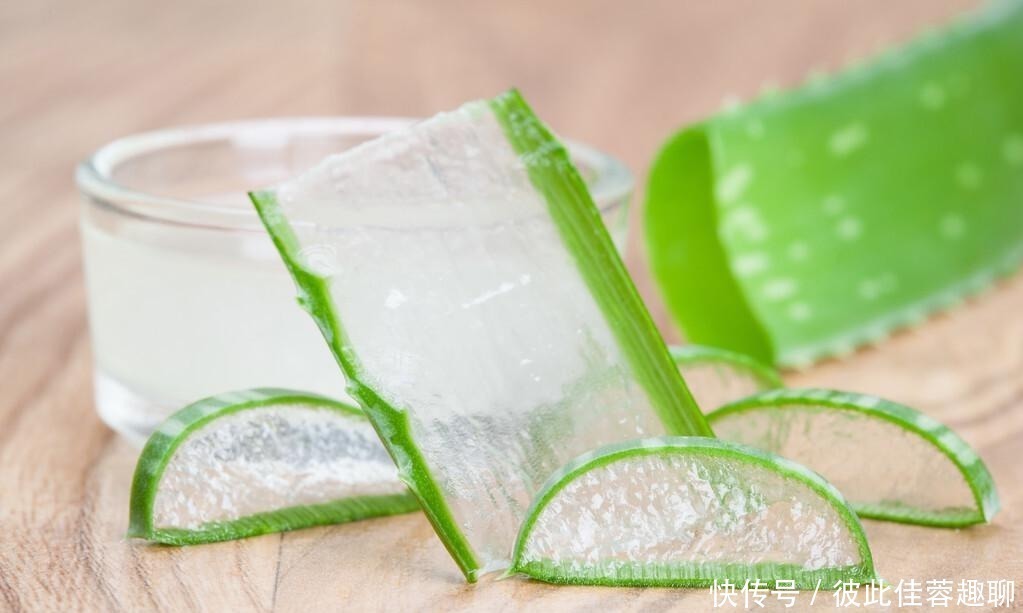 芦荟胶究竟是何方神圣,真的那么万能吗?这两款效果最明显