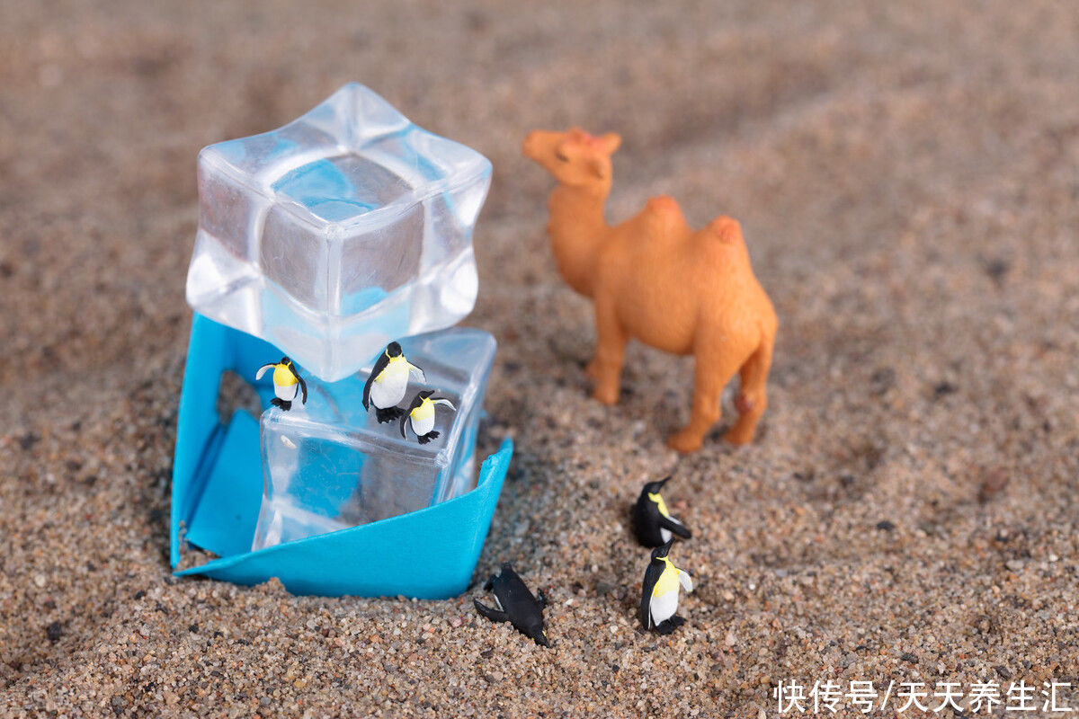 能量|“三伏天”,老年人容易缺乏3种营养,多吃“六宝”,更健康