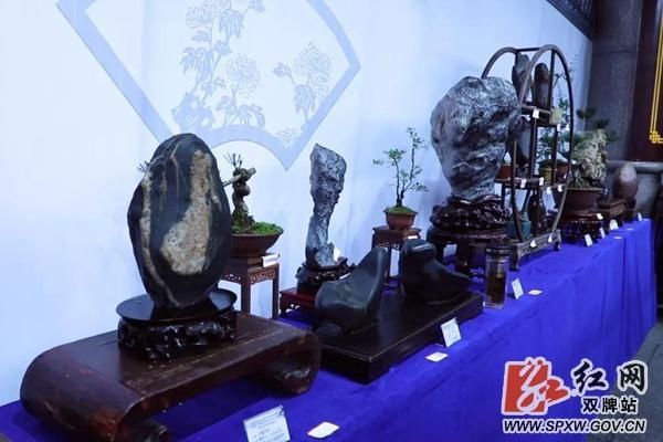 永州市盆景奇石展在双牌举行