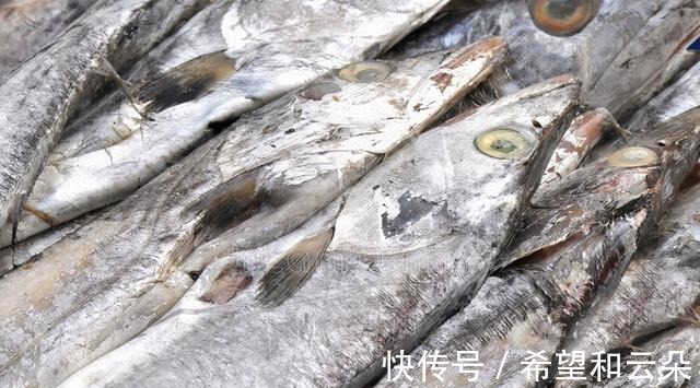 买带鱼时，要分清“黄眼”和“白眼”，差距挺大，弄懂再买不吃亏！