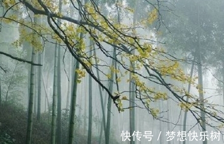 唐朝|唐朝状元很清新的一首诗，开篇就是千古名句，美得令人心醉