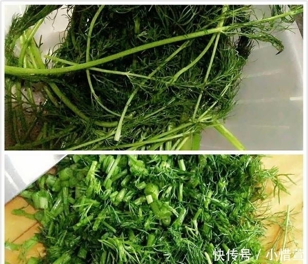 保鲜膜|最养胃的不是小米而是“它”,家里隔三差五吃,养胃健胃,特别好