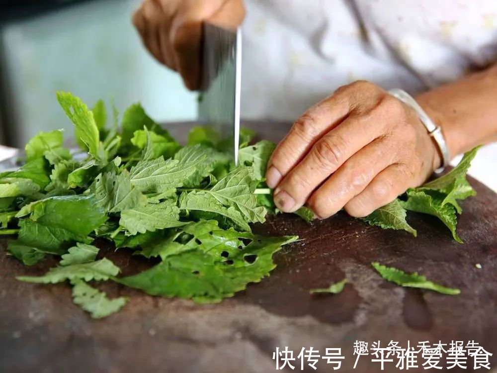 藿香|农村这种野草比香水还香,含一片叶子能除口臭,还是极品高钙菜
