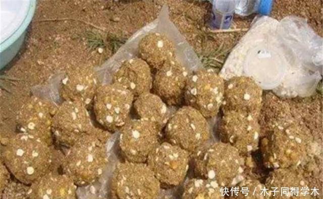 搅拌均匀|盛夏钓大水面,水广鱼稀聚鱼不容易,分享几个窝料配方和打窝技巧