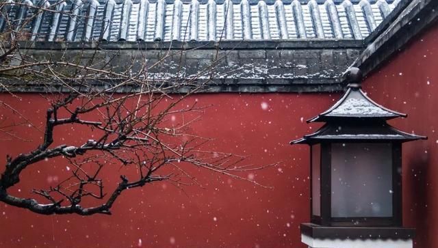 她在故宫一待40年,发现从前的国宴有很多槽点