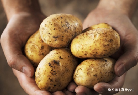 保护|长寿老人爱吃的此种食物，保护心脑血管、帮助消化，了解下