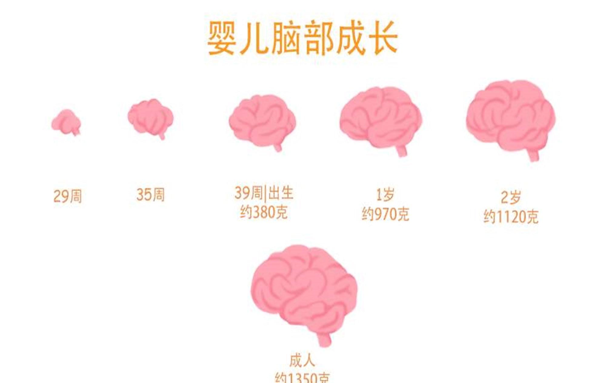 怪癖|如果孩子有以下行为，暗示智商高，家长却误以为是“坏毛病”