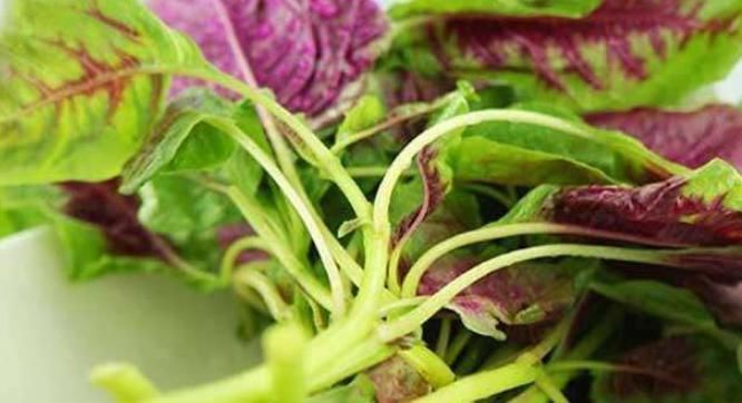 营养|吃红菜对我们的身体有什么益处,红菜中又有哪些营养成分有营养!