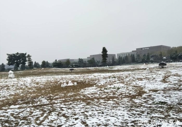 南方下雪都是这么兴奋的。网友直呼“被你们玩坏了”!