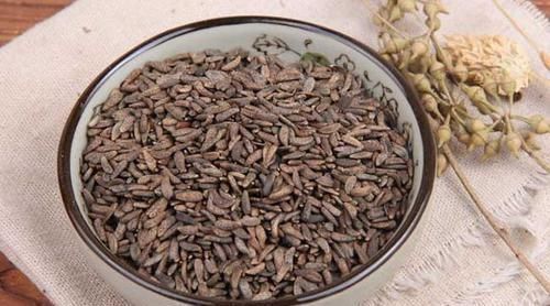 鸡内金|张锡纯:“开挂”了的资生汤,5味药,横扫身体一切疑难杂症!