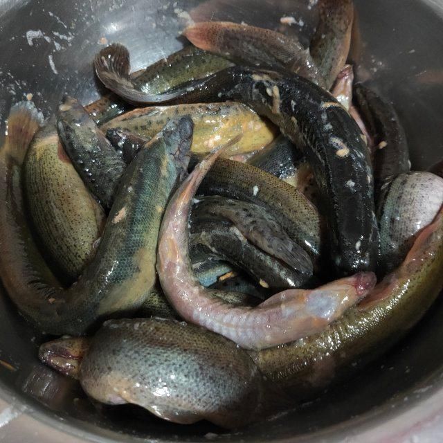 香酥泥鰍魚,麻辣香酥,太解饞了