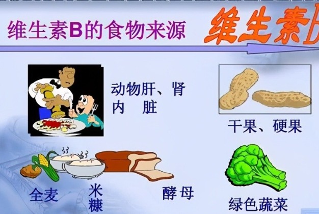 卵磷脂|怀孕吃什么宝宝更聪明,什么阶段吃最好,根据宝宝大脑发育规律吃