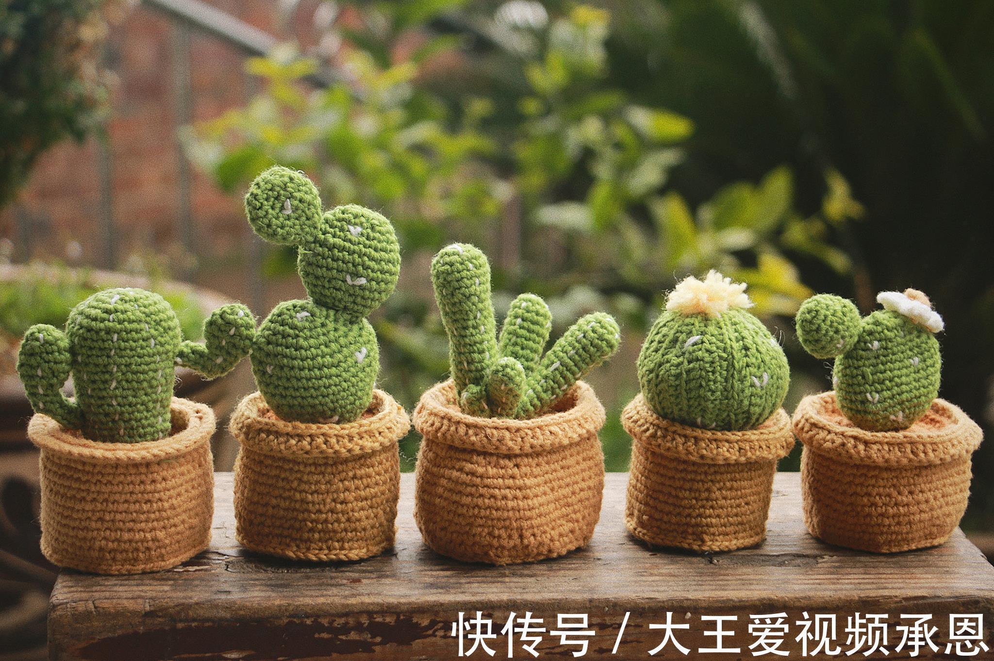 根系|四种花喜干不喜湿,什么时候也不能浇水太频繁,要学会懒养