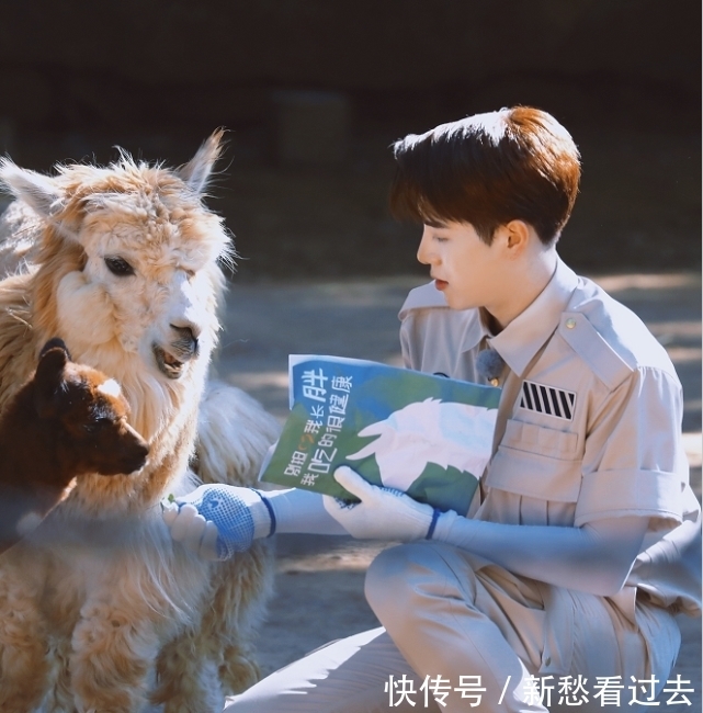 浙江衛視|又有綜藝追了!王嘉爾、任嘉倫、李榮浩、魏大勛齊加盟,超贊