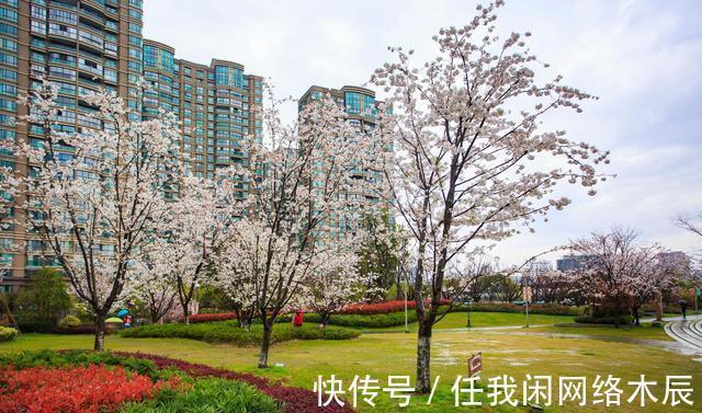 住户|为何劝一楼带院的高层住宅不要住过来人说出真实感受!太实用