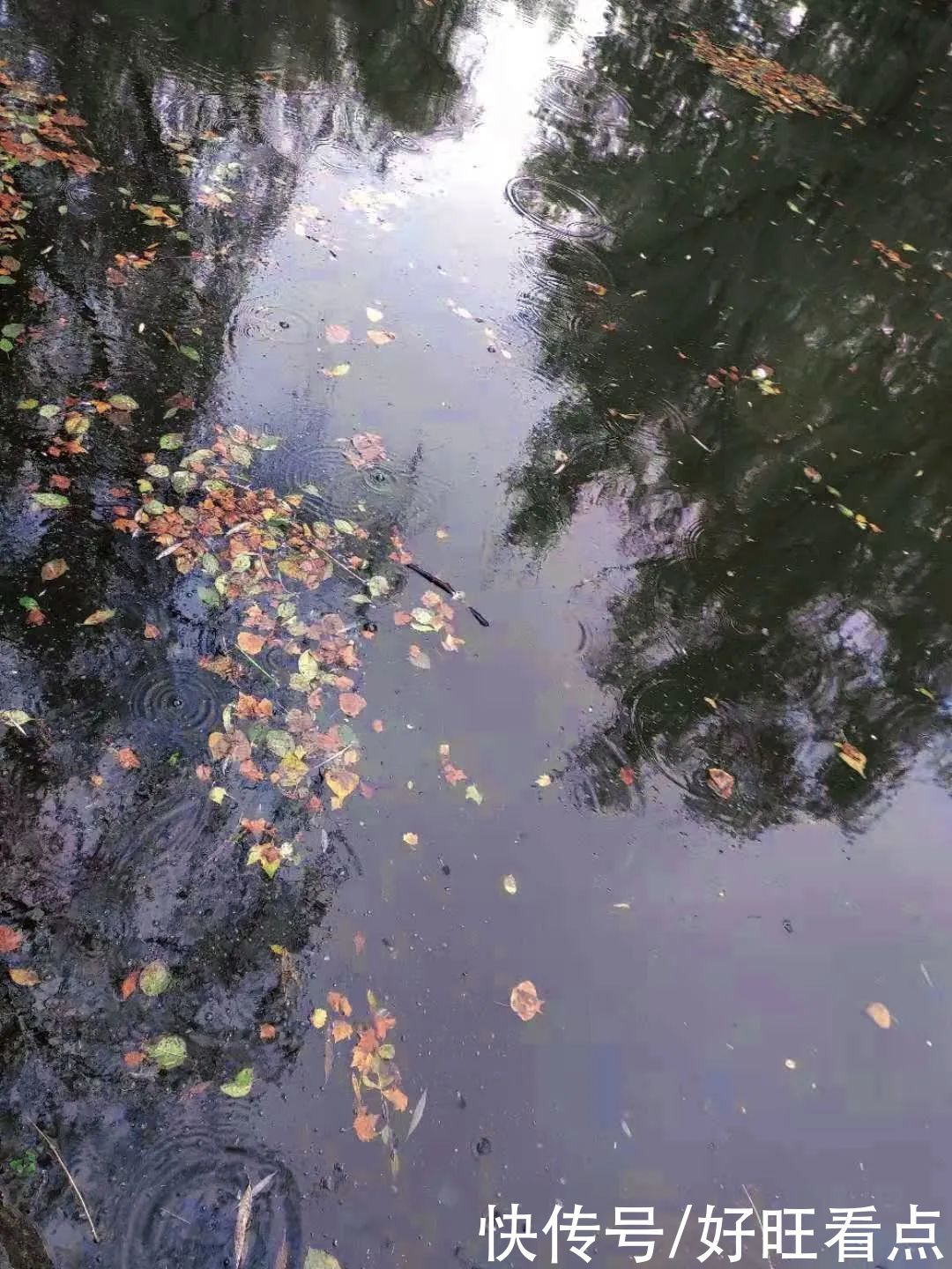 魅力陕西行·走进宝鸡文理学院，来一场说走就走的旅行吧！