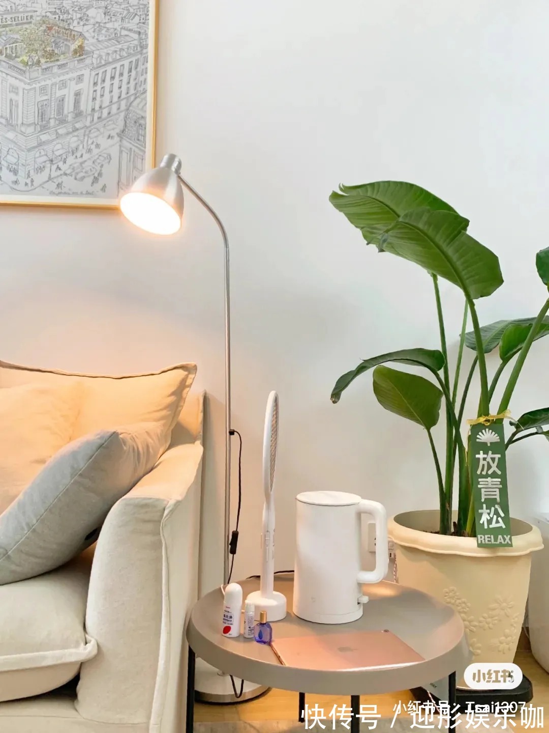 有植物的房子才是理想家！2021最受欢迎“网红绿植”推荐