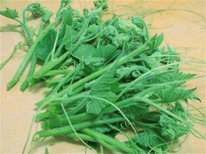 大脑功能|想长寿全靠吃,3种蔬菜换着吃,营养丰富,滋补身体,谁吃谁健康