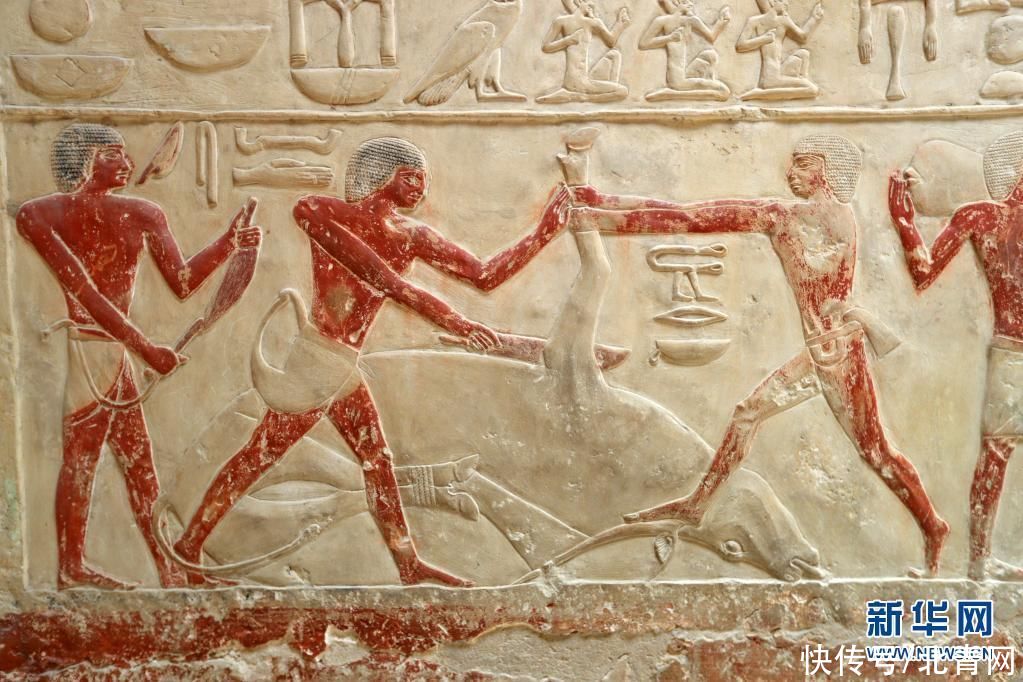 彩绘|埃及塞加拉古墓寻“画”