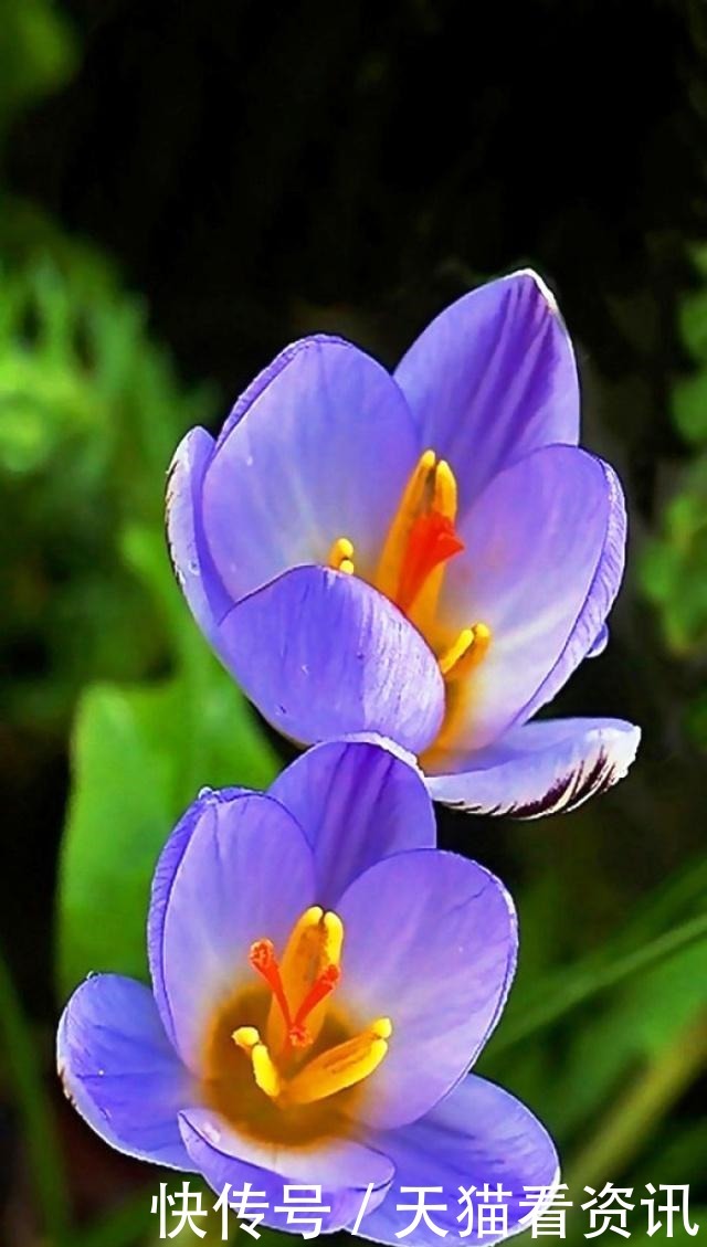 经典语录|激励人心的经典语录,句句有内涵,读读受益匪浅