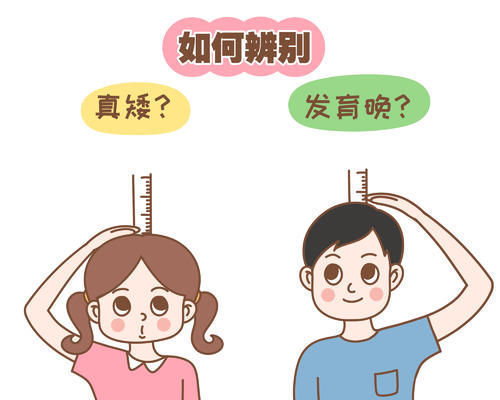 生长发育|孩子个子矮,究竟是“真矮”还是“发育晚”?家长可根据3点辨别