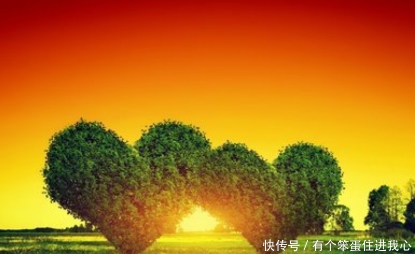 杨步伟:婚姻中,一个女子最幸福的状态