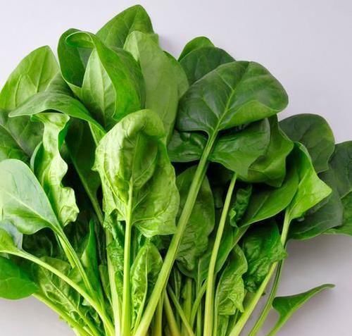 春季养生，推荐几种食物，美容养颜，排毒护肤，肌肤更细腻