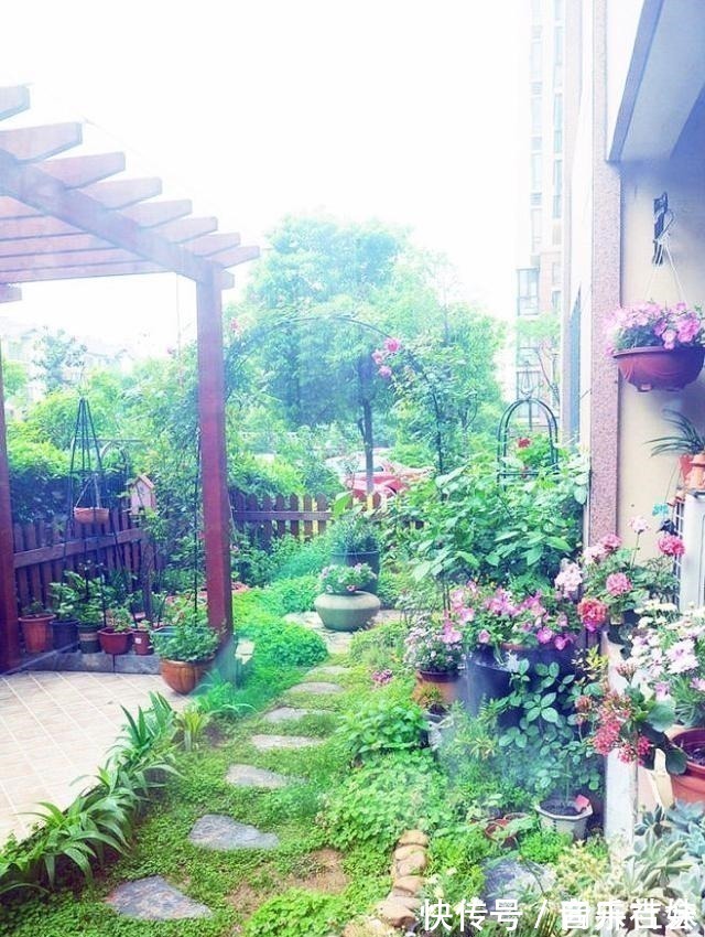 池塘|假如我有一个庭院,我会晒晒太阳种种花,带你看遍世间繁华