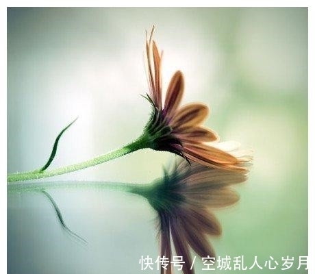 6月16日 6月 30日赚钱机会变多 财富不请自来的3大生肖 快资讯