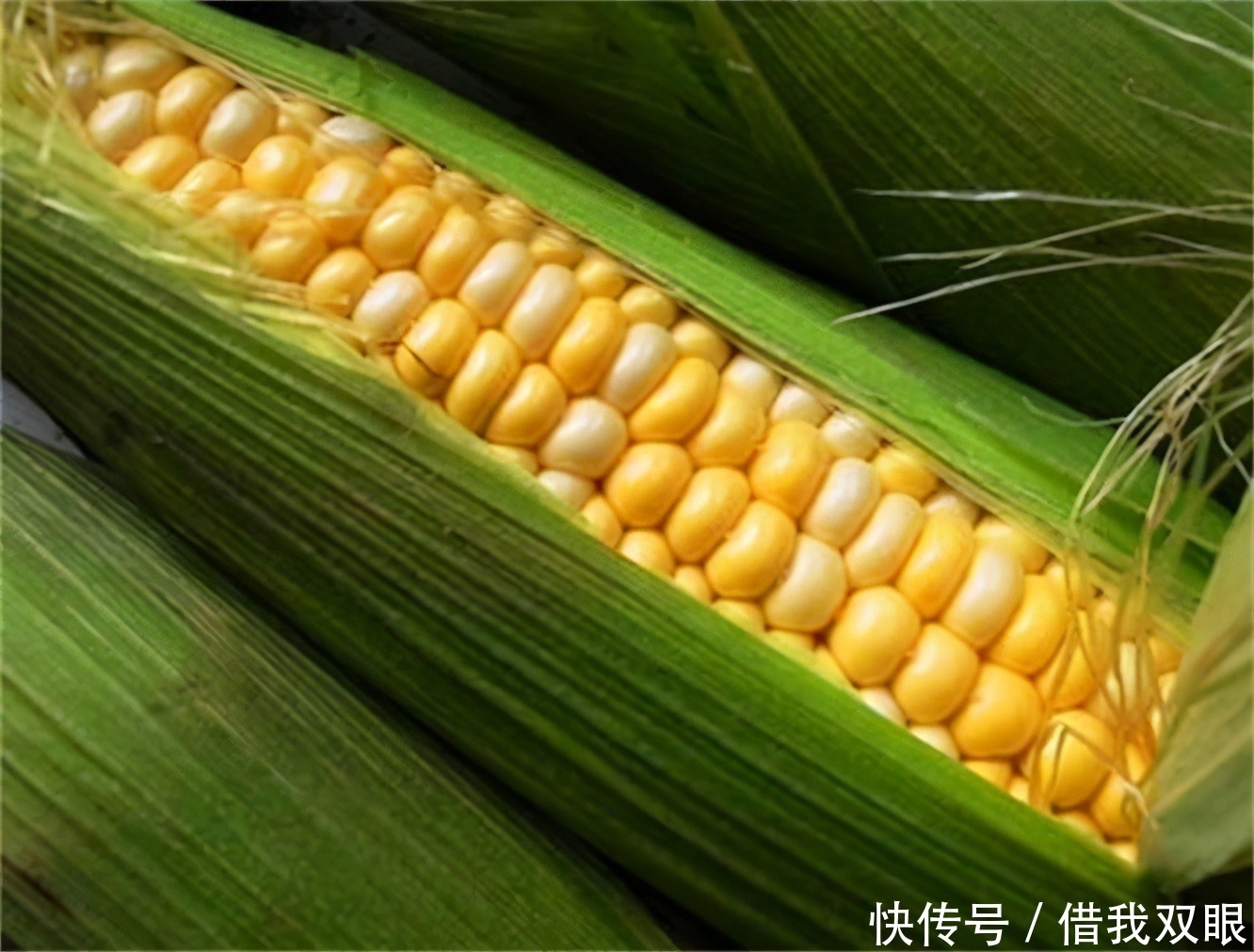 很好|对身体很好的3种食物,营养丰富、延缓衰老,身体棒棒哒