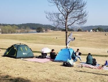 赏花游园骑马爬山……春节长假武汉“乡村游”火了