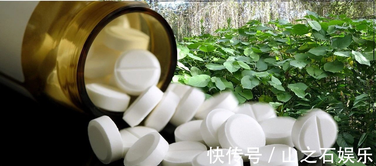 鸡蛋壳|在家里养花时,肥皂水、鸡蛋壳或煮菜的水别丢,是可以用来养花的