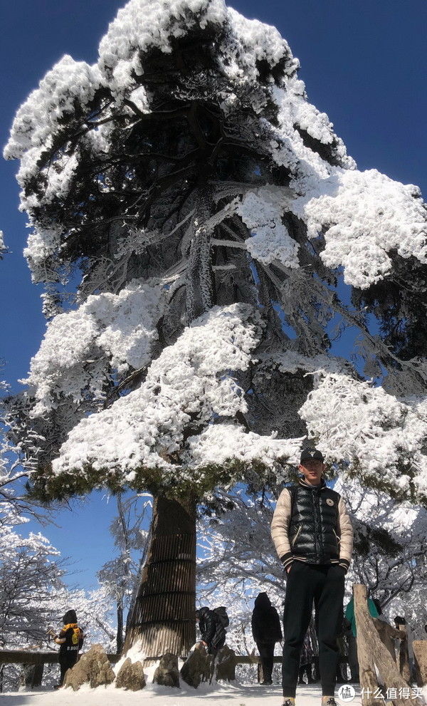 核酸|三登黄山终遇雪，千岛湖黄山自驾游