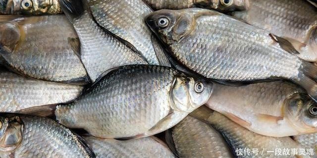 鲫鱼汤加冷水炖还是热水炖好多人都做错了,难怪鱼汤不白也不鲜