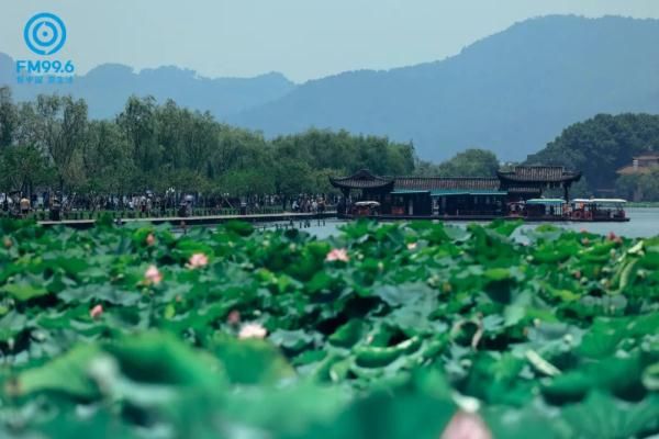 小暑|今日小暑，宜读诗纳凉，食“新”啦……