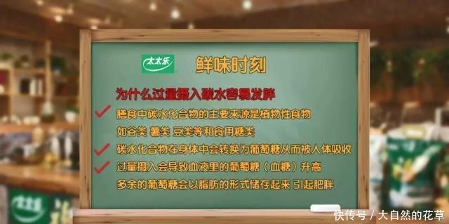 吃主食，不怕胖！不长肉的主食来了→