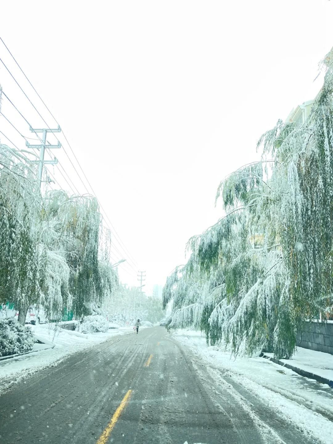 雪景|烟台终于下雪了！（附烟台绝美冰雪图）