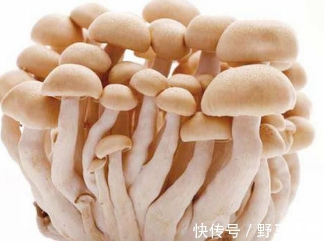 糖尿病|它是糖尿病的“死对头”,每天吃一点,血糖降低恢复正常值