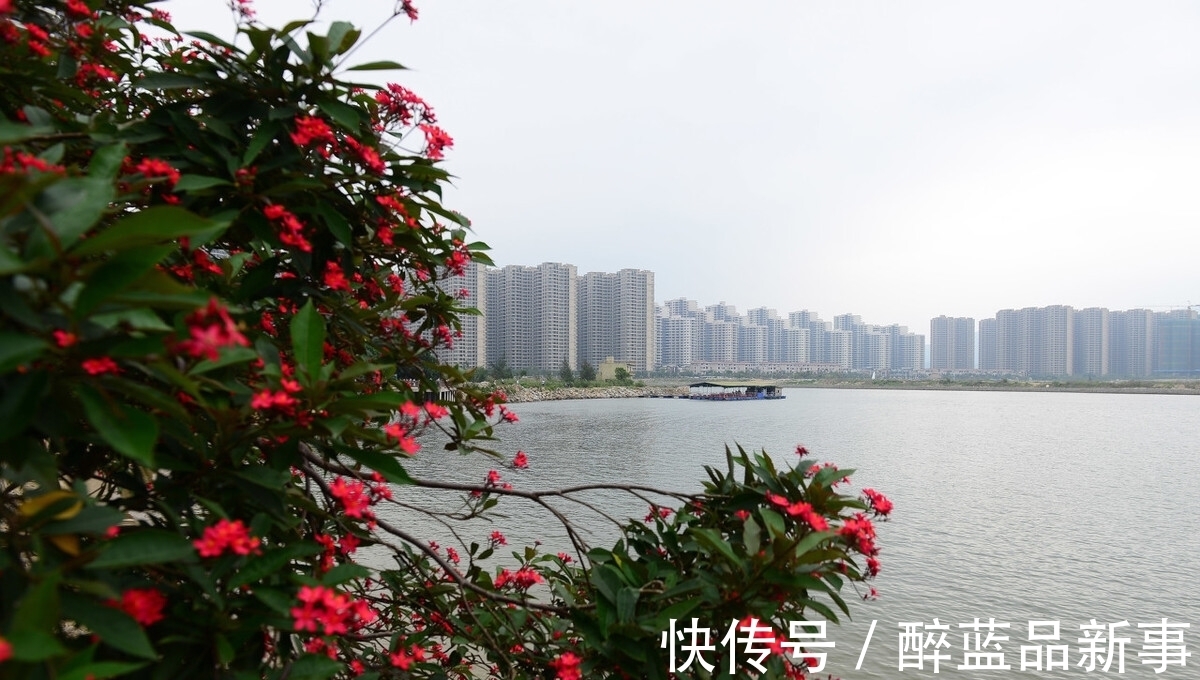 卖地|说深圳经济依赖房地产,要么完全不懂经济,要么完全不了解深圳