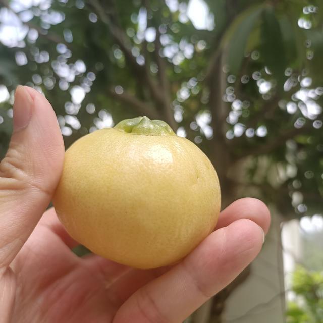 下图|深圳终于找到一个免费钓鱼的水库了,今晚的伙食有着落了