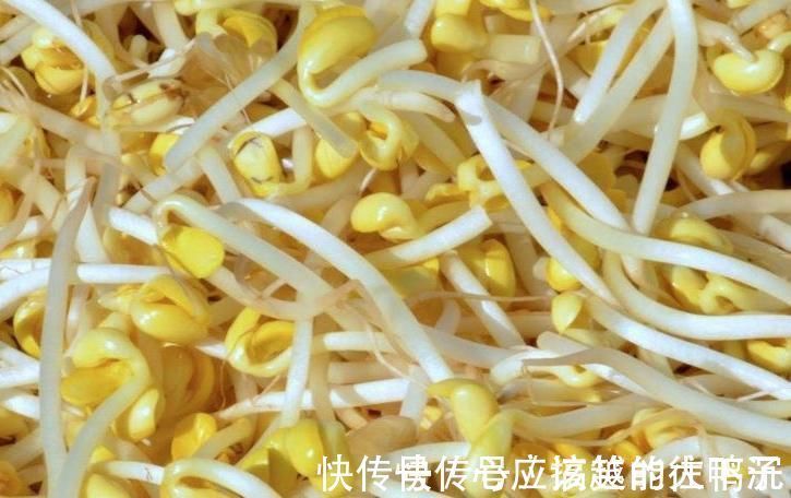 姜丝|豆芽和此物一起煮,每天吃一盘,头发黑了,炎症没了,男女可试试