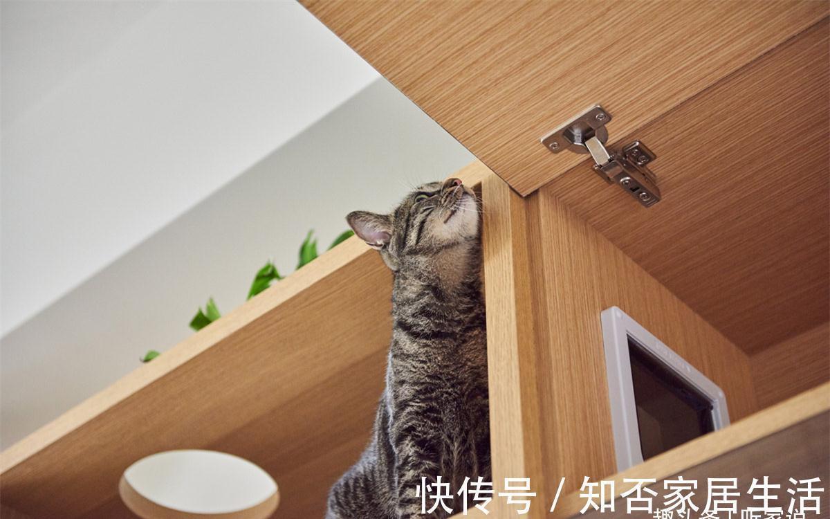 干净|日本90后姑娘太自律:每天把家收拾得一尘不染,入住4年干净如新