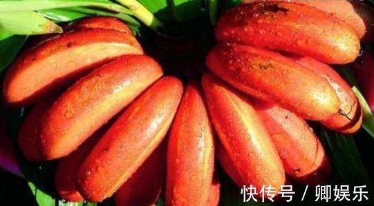 含有|女性抗衰先会吃,常吃3种食物,排毒养颜,补气抗衰,滋补身体