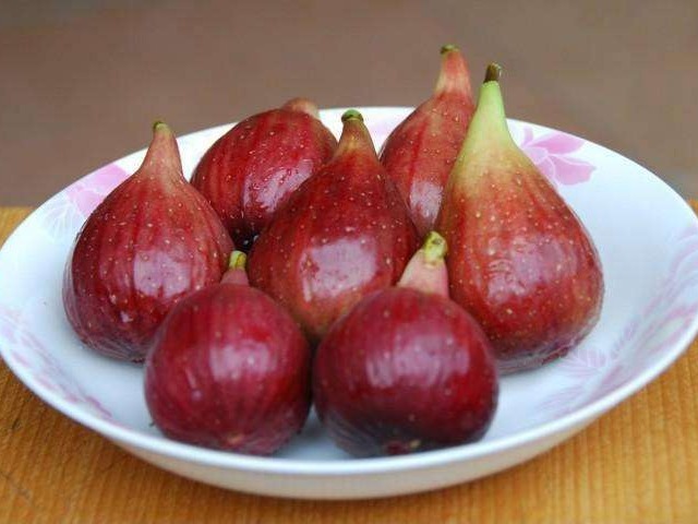 淋巴肉瘤|无花果太厉害了!会用的人简直是捡到宝了,快来和我一起看看吧