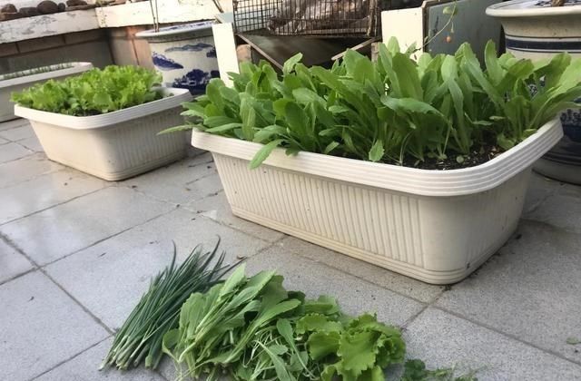  包饺子耗时耗力，但是乐在其中！