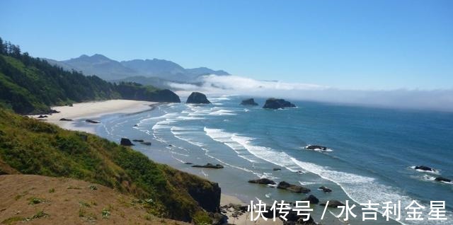 桃花|桃花闪耀,挚爱相迎,满目柔情,心心念念,再续甜蜜恋情