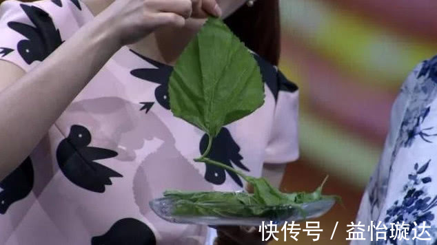 泡水|每天用“桑叶”泡水喝，不出一个月，3件好事可能会不请自来