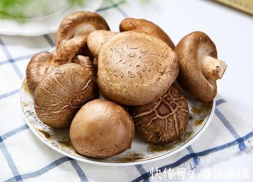 买香菇时，别只会挑个头大的，学会3个小技巧，保证新鲜又好吃